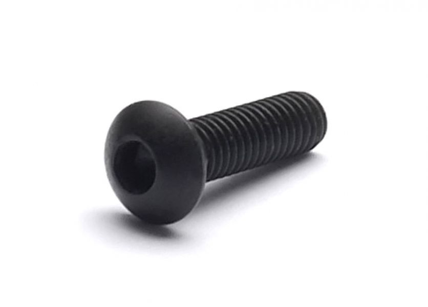 Fillister head screw M 3 x 10