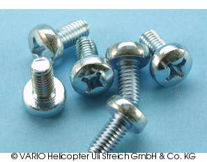 Fillister head socket screw M 6 x 12