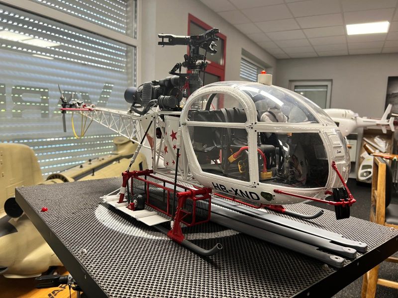 Baby Lama Ready to Fly