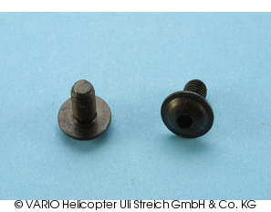 Linsenflanschschraube M 5 x 10
