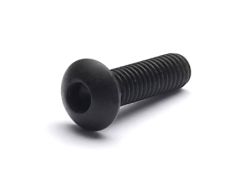 Fillister head screw M 3 x 10