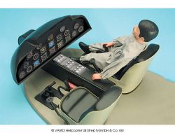 Cockpit Ecureuil