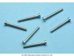Cheesehead screw M 2.5 x 22