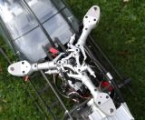 Testa in scala per ALUETTE II