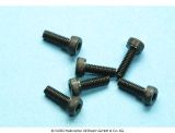 Socket-head cap screw M 2.5 x 8 G12